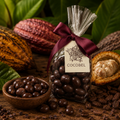 Coffee Bean Dragées | Trinidad Coffee Beans Coated in 65% Dark Chocolate | Artisan Chocolate