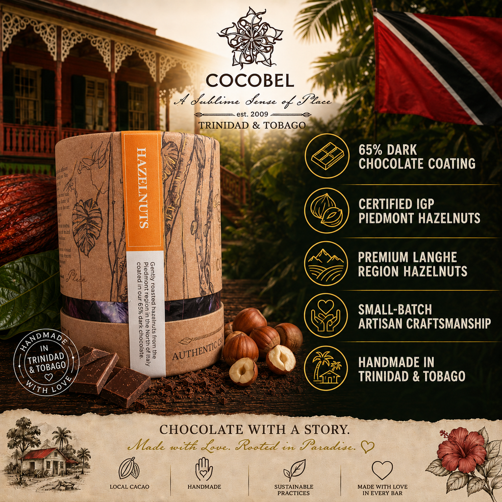 Hazelnut Dragées | IGP Piedmont Hazelnuts Coated in 65% Dark Chocolate | Artisan Chocolate