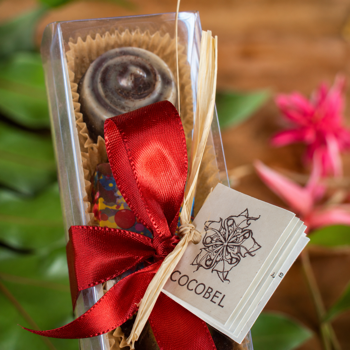 5 pcs Artisan Chocolate Bonbon Gift Collection | Handmade Bonbons from Trinidad & Tobago